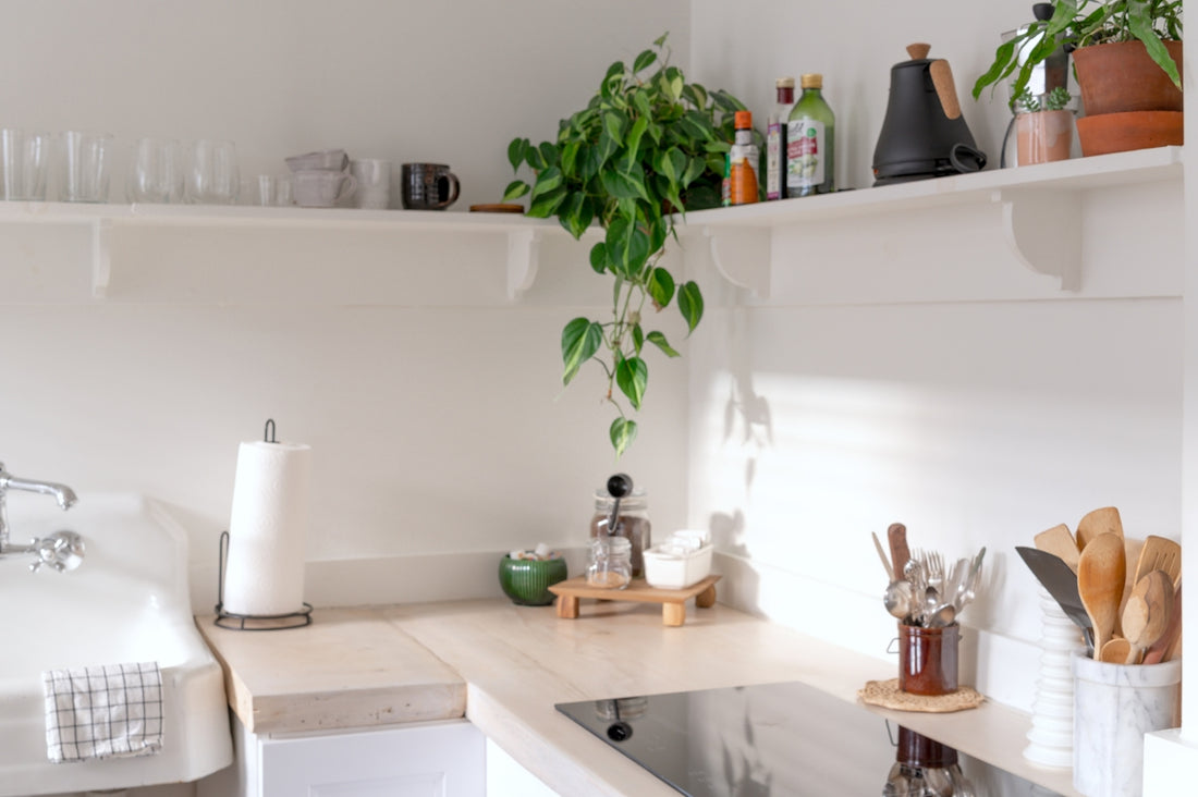 A bright, minimalist kitchen with plants, shelves, and a cooktop.