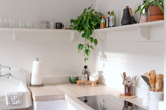 A bright, minimalist kitchen with plants, shelves, and a cooktop.