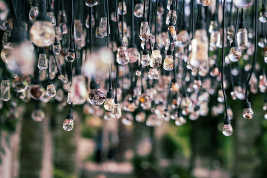 Hanging clear light bulbs create a decorative display.