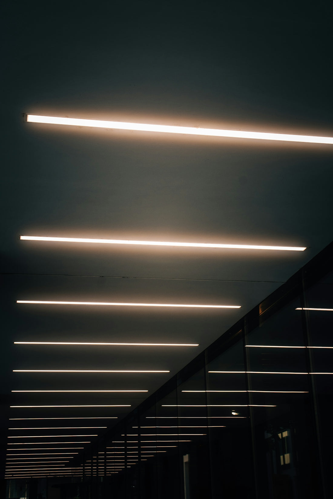Parallel linear lights illuminate a modern dark hallway.