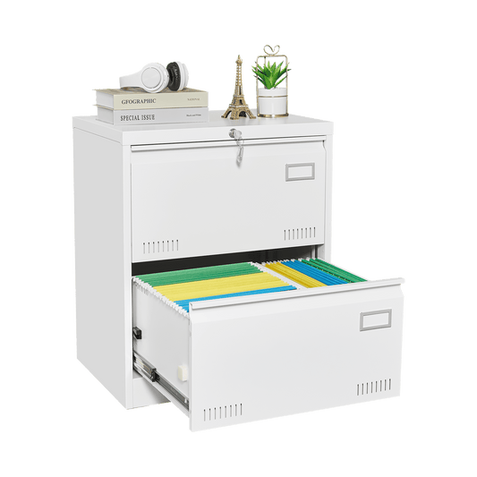 2 Drawer Metal Lateral File Cabinet with Lock,Office Vertical Files Cabinet for Home Office