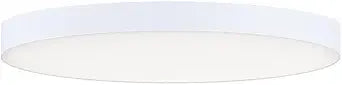 Maxim Lighting Trim 9" 1-Light Flush Mount | White Finish | White Polycarbonate Shade | Transitional Flush Mount | Ideal for Bedrooms, Hallways & Entryways | Dimmable | 57663WTWT