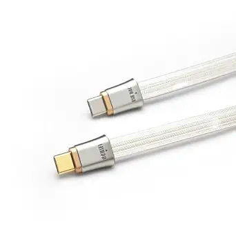 DD ddHiFi TC19CC USB C Cable Digital Signal OTG Cable Pure Silver USB-C to USB-C DAC Cable, Four-Wire Parallel Design, 25cm