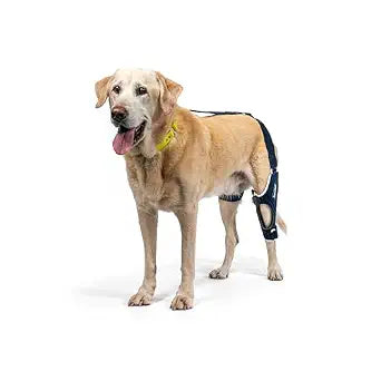 Balto Jump Dog Knee Brace  Orthopedic ACL/CCL Support for Dogs  Adjustable Leg Stabilizer for Joint Pain, Injury Recovery & Arthritis  Vet-Approved Canine Knee Support (X-Large, Right Leg)