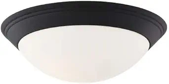 Matte Black Flush Mount Ceiling Light 16-Inch Wide