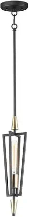 Maxim Lighting Wings 1-Light Pendant Light | Black/Satin Brass Finish | Contemporary Kitchen Dining Pendant | 11653BKSBR