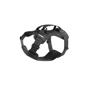Thule Cappy Dog Harness L - Crash-Tested for Safety - Seatbelt passthrough - Adjustable & Easy to Clean - Padded Breathable mesh Panels - Leash Loop - Step-in Design