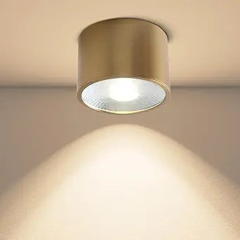 Sedelan Brass Ceiling Spot Lights Indoor, Dimmable LED Mini Cylinder Ceiling Light Fixture,7W 4500K Flush Mount Spotlight for Closet Hallway Staircase Bedroom Home Decor