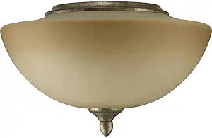 Quorum 2386-9158 Transitional Two Light Fan Light Kit from Salon Collection in Bronze/Dark Finish,