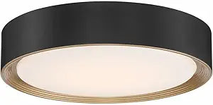 Access 49970LEDD-MBL/ACR Transitional LED Flush Mount from Malaga Collection in Black Finish,
