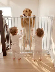 Babelio Removable & No Bottom Bar Baby Gate, 29-43" Hardware Mounted (Drill Needed)| Wide Walk-Thru| Auto-Close Safety Dog/Pet Gate for Stairs & Doorways (White, 29-43" W, 30" H)