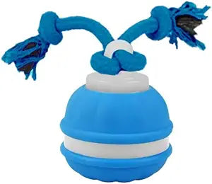 BIONEMAGILI Self-Rolling Dog Ball - Touch-Activated Interactive Dog Toys with 3 Modes & Bird Chirping Sounds |Puppy-Proof TPR Material (for Small/Medium Dogs 11-55 lbs) Blue and Orange (Blue)