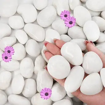 NUPICK 45lb White River Rocks for Outdoor Landscaping, 1-2 Inch Pebbles for Indoor Plants, Natural Polished Aquarium Gravel, Decorative Rocks for Succulent, Garden, Vases Fillers, Bird Baths