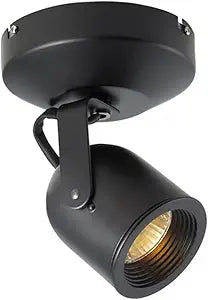 WAC Lighting, Monopoint 808 Spot Light in Black