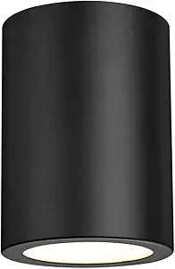 Z-Lite 1 Light Flush Mount 2302F1-MB