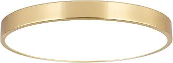 SOTTAE 12 Inch Brushed Gold Metal Flush Mount LED Ceiling Light, 3000-5000K 20W Thin Round Modern Low Profile Ceiling Light Fixtures for Bedroom, Living Room, Kitchen, Entryway, Bathroom