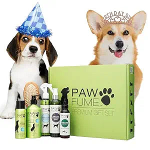 Pawfume Dog Gift Basket, 6-Piece Box  Give Your Pup a Spa-Quality Coat & Odor-Free Freshness  Probiotic Deodorizer Spray, Hypoallergenic Grooming Mist & Premium Brush  Dog Gift Boxes for All Breeds