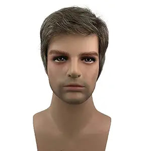 Aimole Mens Wigs Short Straight Hair Brown mix Sliver Natural Synthetic Full Wig