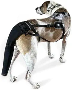 Tail Guard & Harness Set - Veterinary Dog Tail Protector & Injury Wrap, Size Large