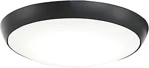 MINKA-AIRE Outdoor Light Kit for Simple Flush Fans in Coal Black, K9873L-CL