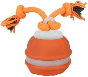 BIONEMAGILI Self-Rolling Dog Ball - Touch-Activated Interactive Dog Toys with 3 Modes & Bird Chirping Sounds |Puppy-Proof TPR Material (for Small/Medium Dogs 11-55 lbs) Blue and Orange (Orange)