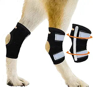 NeoAlly Super Supportive Dog Braces for Rear Leg and Hock Joint with Dual Metal Spring Strips Stabilize Canine hind Legs from Wound, Injury, Sprains, Arthritis (S Pair)