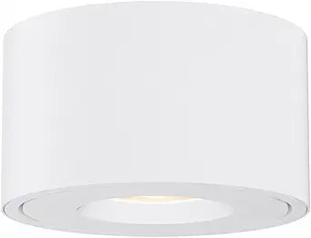 White LED Flush Mount by Maxim