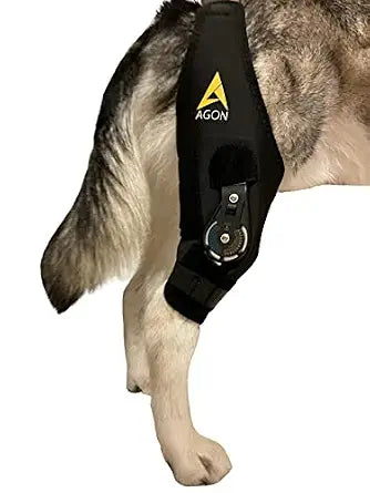 AGON Dog Knee Brace  Professional Knee Support Brace for Dogs with Adjustable Hinge Stabilizer  Premium Neoprene Hip Brace for Knee Support, Dog Recovery, and Joint Support (Right Leg, Large)
