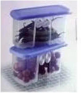 Tupperware Fridge Smart Mini Container