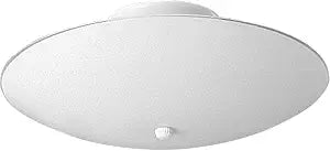 Progress Lighting 12" 2-Light Flush Mount Light, White