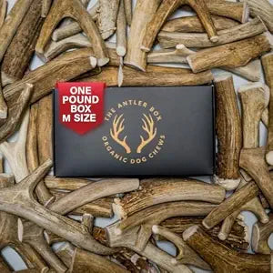 The Antler Box Premium Deer Antler Dog Chews (1 lb Bulk Pack) (Medium (5 Antlers/lb)