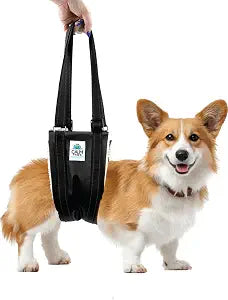 Recovery Lift Harness (Medium)