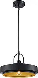 DESIGNERS FOUNTAIN Odea Pendant Light, 14 Inch Hanging Ceiling Fixture for Kitchen Island and Dining Room, Matte Black, D295M-14P-MB