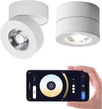 Dimmable LED Ceiling Spotlight 360Adjustable -Tuya Smart Life Surface Mounted 12W COB Art Lighting-Hard Wired Ceiling Downlight for Mural Display Corridor Background wall (White, 3.90"*2.84")