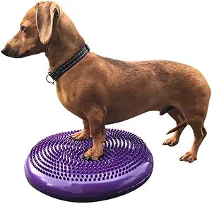 DEZAL Dog Balance Disc Cushion 14" - With 2 Exercises and Pump - Dog rehab Exercise Strength Endurance Conditioning Fitness Flexibility Rehabilitation Physical Training Tool for Senior Dogs