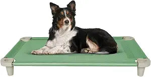 Acrimet Cooling Elevated Pet Dog Bed, Washable and Breathable Mesh Cot, Stainless Steel Frame, Indoor & Outdoor Use, fits Dogs up to 110 lbs (Size: 40 x 24), Green, 1 Unit