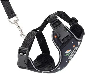 RC Pets Adventure Kitty Cat Harness | Adjustable Airmesh Vest with D-Ring and 6ft Leash for Walking and Travel | Daisies, Small