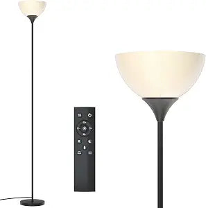 PESRAE Floor Lamp, Remote Control, Stepless Brightness & Color Temperature