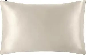 LILYSILK Pillowcase for Hair and Skin 100% Mulberry Silk 19 Momme Both Sides Silk Bed Pillow Cover with Hidden Zipper 1 Pc Standard Size 20''x26'' Moonlight Gray