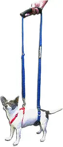 GINGERLEAD Dog Support Sling Harness, X-Small Fits Pets Under 25 lbs or Male Dachshunds with IVDD, Spinal Disc Disease, or Back Injuries. Assist Old or Arthritic Pets. Chest Harness not Included.