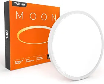TALOYA Flush Mount Ceiling Light,12 Inch,20W,5000K Daylight