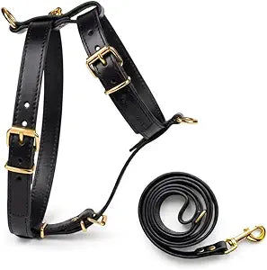 Luxury No Pull Harness & Leash Set for All Dogs (Not for Pitbull) with Front & Back Clip - Escape Proof Premium PU Leather Adjustable Dog Walking Harness - No Choke & Easy-Clean Dog Training Harnesses