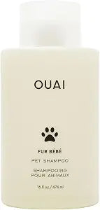 OUAI Fur Bb Pet Shampoo - Cat & Dog Shampoo for Gentle Cleansing, Hydration & Shine - Vegan & Cruelty-Free Pet Supplies with Aloe Vera & Panthenol - Mercer Street Scent (16 Fl oz)