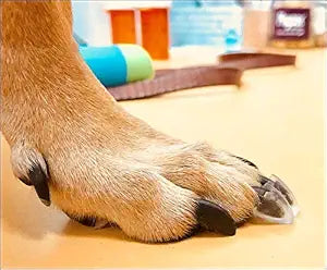 TAKTIKAL Dr. McHenry's Dog Toe Treads, Set of 24, Adhesive, Cleaning Brush, Increased Traction, Mobility Support, Large Kit- Weight: 40-60 lbs. Net Weight 1.6 oz.