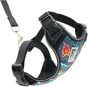 RC Pets Adventure Kitty Cat Harness | Adjustable Airmesh Vest with D-Ring and 6ft Leash for Walking and Travel | Trail Badges, Medium