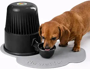 Pet Water Dispenser for Dogs and Cats, 67.6 oz  Gravity-Fed Water Bowl for Clean Drinking, Prevents Wet Fur, BPA-Free Polypropylene, (Opaque Black)