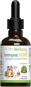 Pet Wellbeing Immune Sure for Cats - Supports Normal Immune Defenses, Gut Flora Balance, Andrographis, Echinacea, Vitamin C, Zinc - Veterinarian-Formulated Herbal Supplement 2 oz (59 ml)