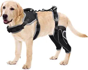Dog Knee Support for ACL Tear Rehabilitation and Dislocated Patella -Adjustable Leg Support and Sufficient Breathability,Injury Recovery and Balance Assistance-Both Leg/M Size