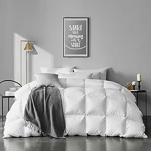 APSMILE Queen Size Feathers Down Comforter - Ultra Soft All Seasons Organic Cotton Cover Duvet Insert Medium Warm Quilted Bed Comforter with Corner Tabs (90 x 90, Ivory White)