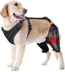 Dog Knee Brace  Rear Leg Support for Luxating Patella,Torn Ligament, Adjustable Support,Effective Wrapping and Joint Warmth, Pain Relief & Better Recovery  Both Legs, Size M